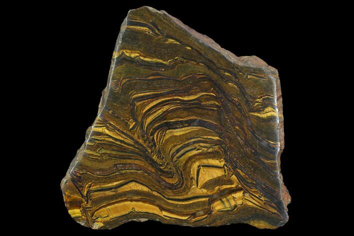 Polished Tiger's Iron Section - South Africa #128513